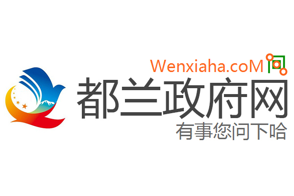 都兰政府网