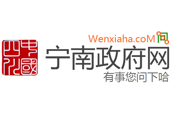 宁南政府网