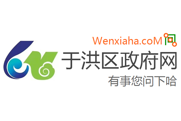 于洪区政府网