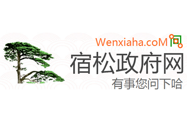 宿松政府网