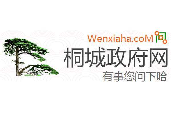 桐城政府网