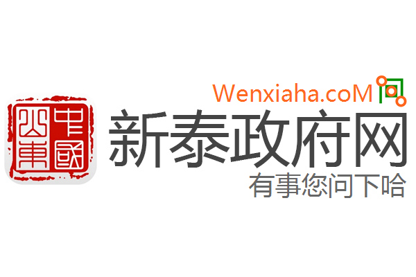 新泰政府网